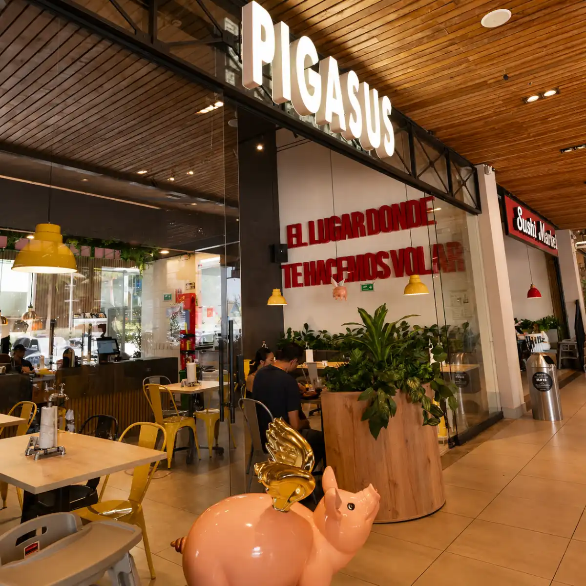 sede pigasus cc Viva Palmas